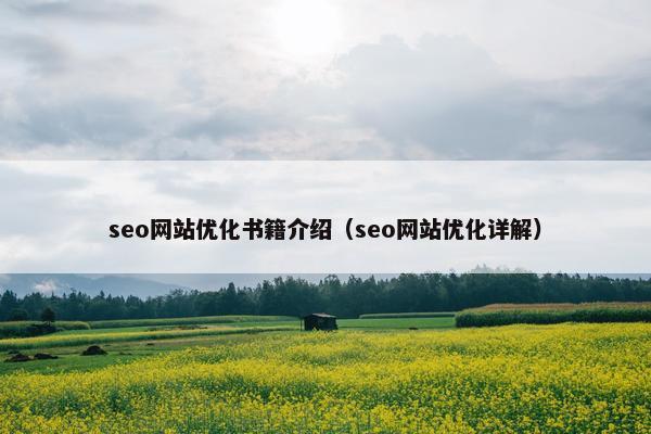 seo网站优化书籍介绍（seo网站优化详解）