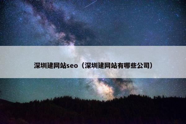 深圳建网站seo（深圳建网站有哪些公司）
