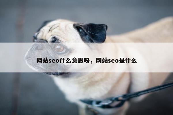 网站seo什么意思呀，网站seo是什么