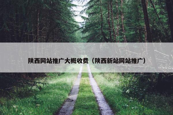 陕西网站推广大概收费（陕西新站网站推广）