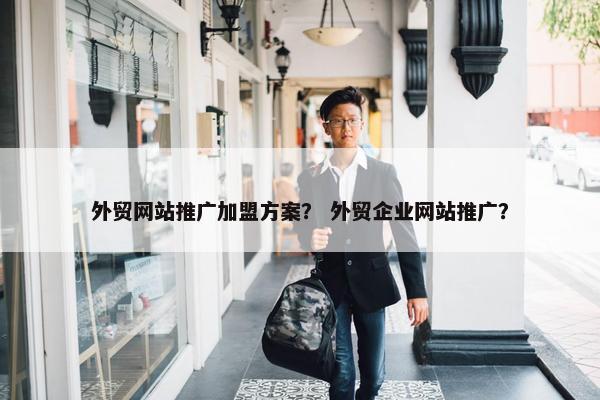 外贸网站推广加盟方案？ 外贸企业网站推广？