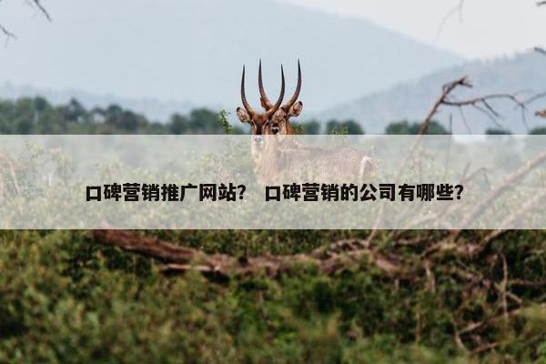 口碑营销推广网站？ 口碑营销的公司有哪些？