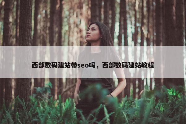 西部数码建站带seo吗，西部数码建站教程