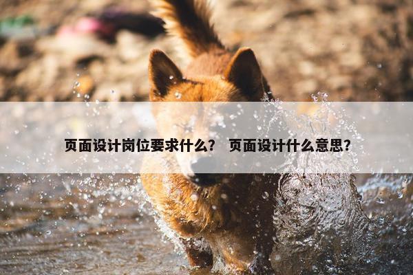 页面设计岗位要求什么？ 页面设计什么意思？