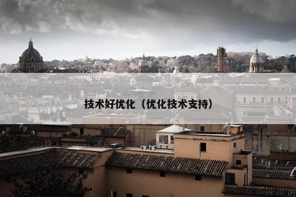 技术好优化（优化技术支持）