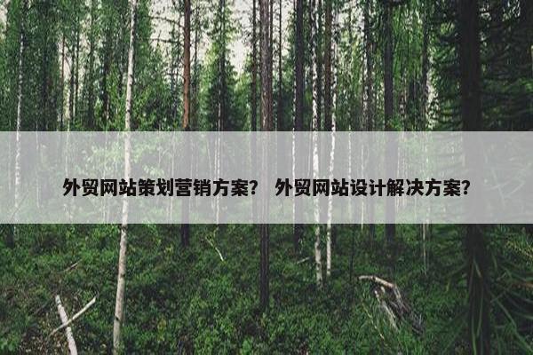 外贸网站策划营销方案？ 外贸网站设计解决方案？