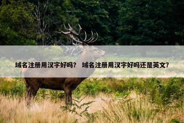 域名注册用汉字好吗？ 域名注册用汉字好吗还是英文？