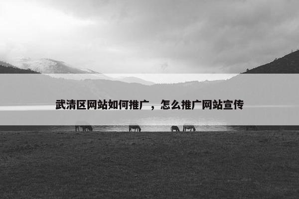 武清区网站如何推广，怎么推广网站宣传