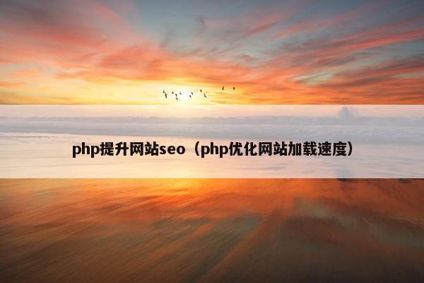 php提升网站seo（php优化网站加载速度）