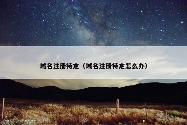 域名注册待定（域名注册待定怎么办）