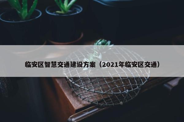 临安区智慧交通建设方案（2021年临安区交通）