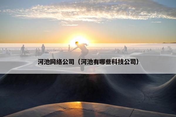 河池网络公司（河池有哪些科技公司）