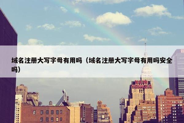 域名注册大写字母有用吗（域名注册大写字母有用吗安全吗）