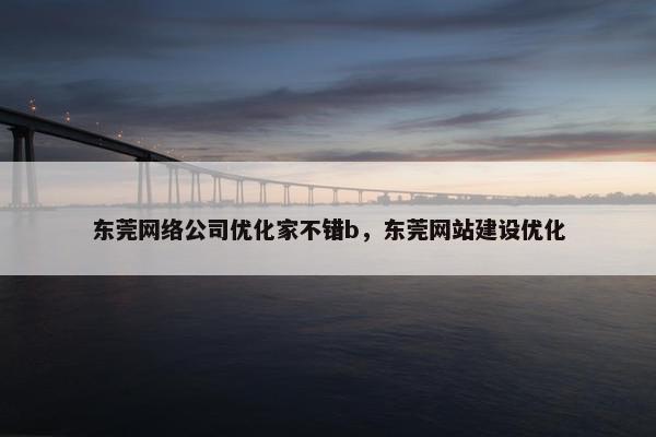 东莞网络公司优化家不错b，东莞网站建设优化