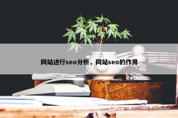 网站进行seo分析，网站seo的作用
