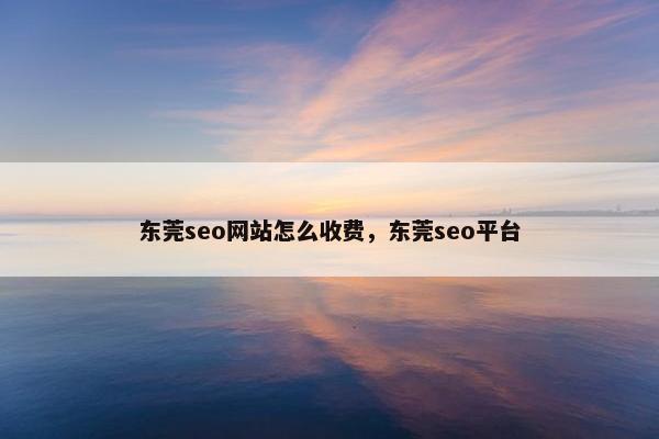 东莞seo网站怎么收费，东莞seo平台