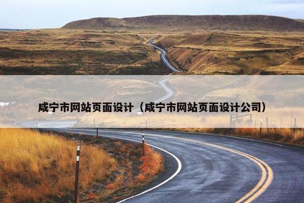 咸宁市网站页面设计（咸宁市网站页面设计公司）