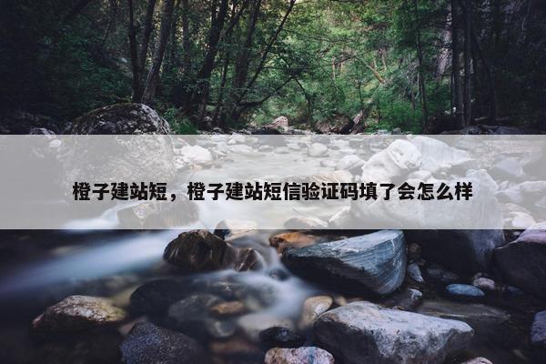 橙子建站短，橙子建站短信验证码填了会怎么样