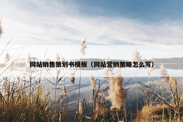网站销售策划书模板（网站营销策略怎么写）