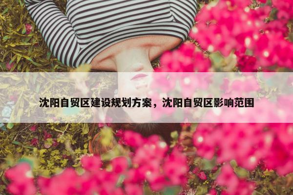 沈阳自贸区建设规划方案，沈阳自贸区影响范围