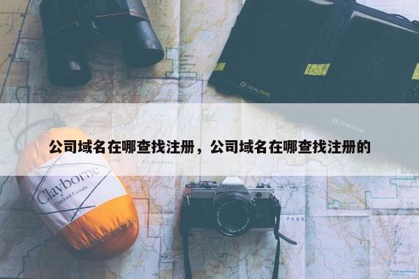 公司域名在哪查找注册，公司域名在哪查找注册的