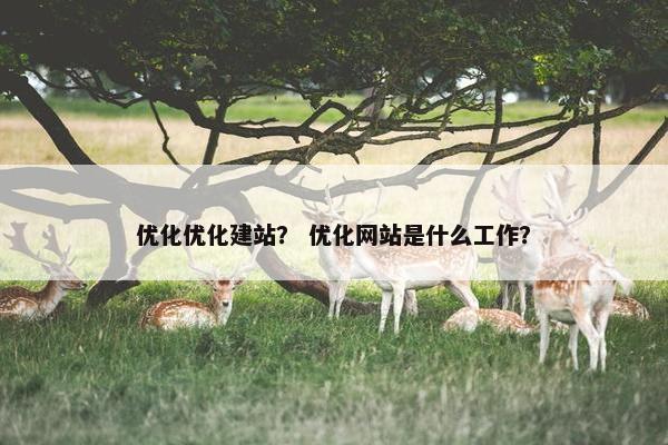 优化优化建站？ 优化网站是什么工作？