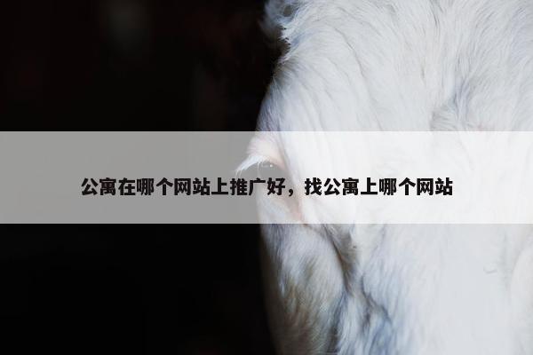 公寓在哪个网站上推广好，找公寓上哪个网站