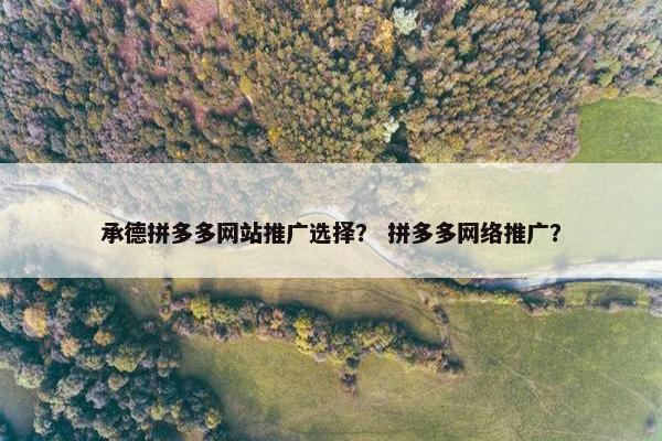 承德拼多多网站推广选择？ 拼多多网络推广？