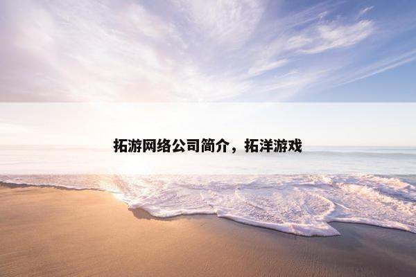 拓游网络公司简介，拓洋游戏