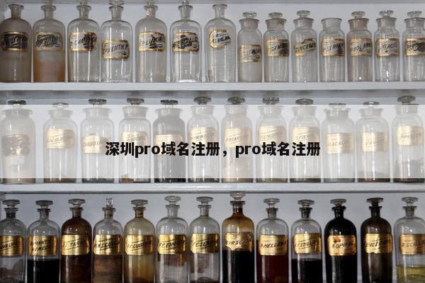 深圳pro域名注册，pro域名注册
