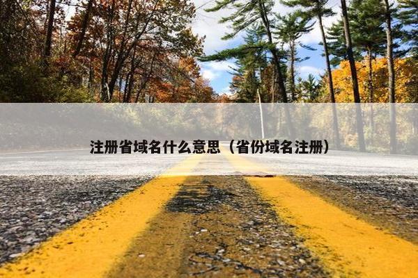 注册省域名什么意思（省份域名注册）