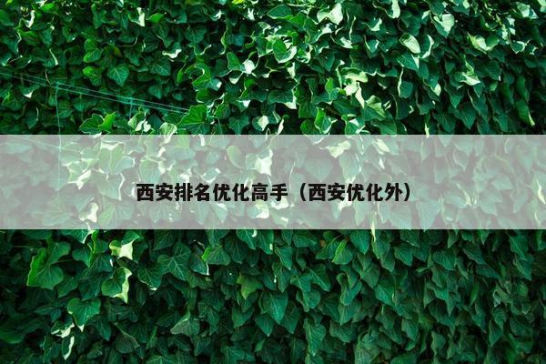 西安排名优化高手（西安优化外）