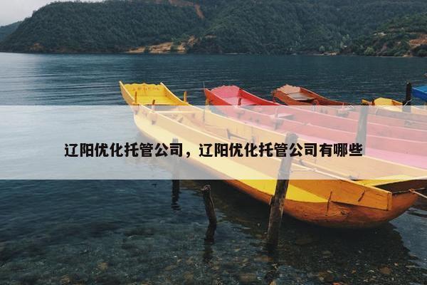 辽阳优化托管公司，辽阳优化托管公司有哪些