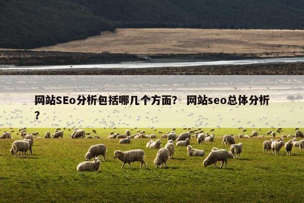 网站SEo分析包括哪几个方面？ 网站seo总体分析？