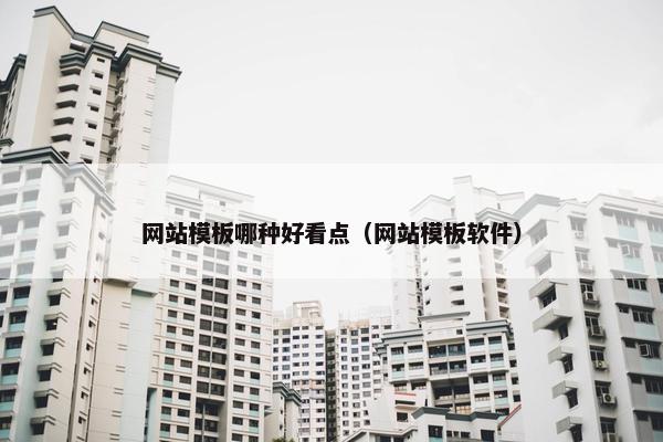 网站模板哪种好看点（网站模板软件）