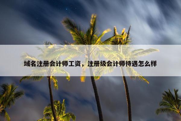 域名注册会计师工资，注册级会计师待遇怎么样