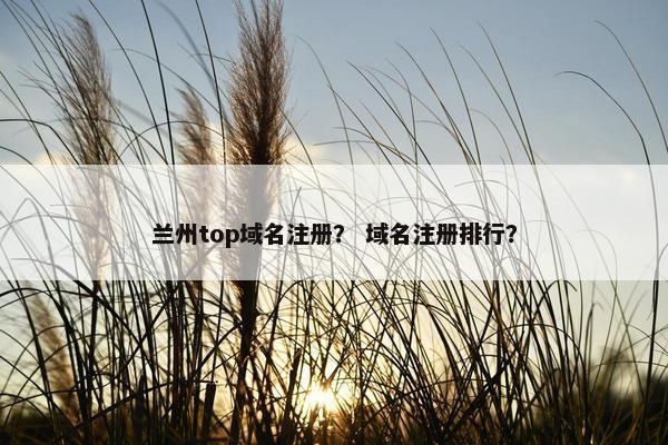 兰州top域名注册？ 域名注册排行？