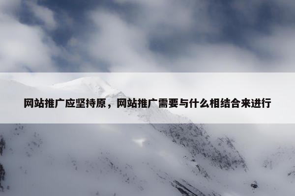 网站推广应坚持原，网站推广需要与什么相结合来进行