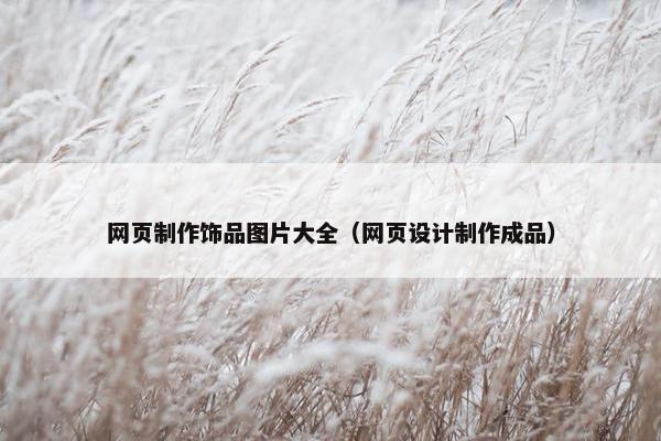 网页制作饰品图片大全（网页设计制作成品）