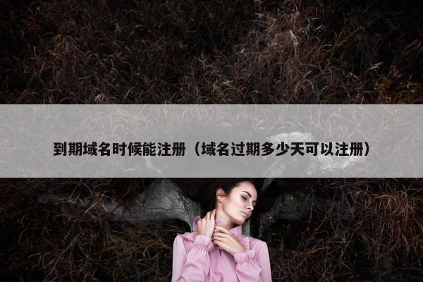 到期域名时候能注册（域名过期多少天可以注册）