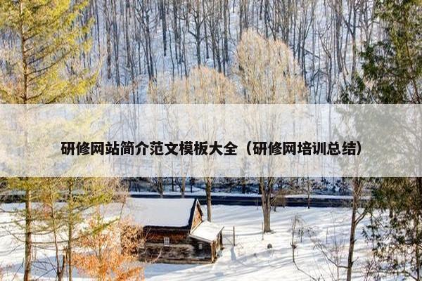 研修网站简介范文模板大全（研修网培训总结）