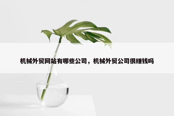 机械外贸网站有哪些公司，机械外贸公司很赚钱吗