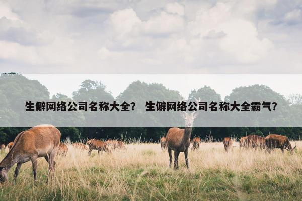 生僻网络公司名称大全？ 生僻网络公司名称大全霸气？