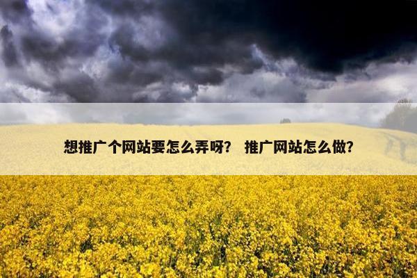 想推广个网站要怎么弄呀？ 推广网站怎么做？