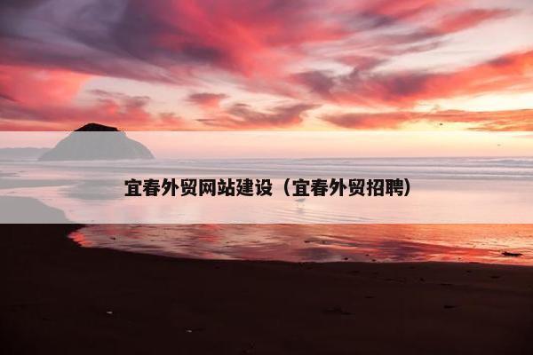 宜春外贸网站建设（宜春外贸招聘）