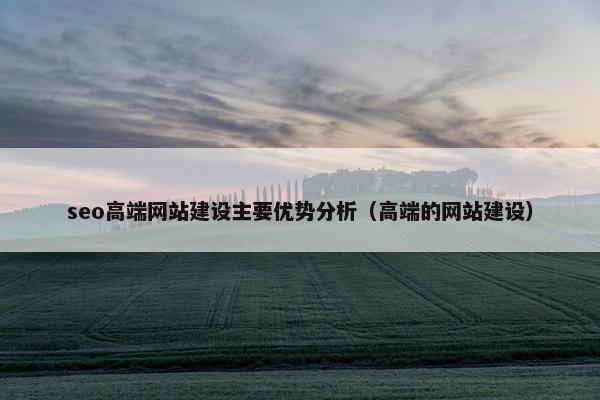 seo高端网站建设主要优势分析（高端的网站建设）