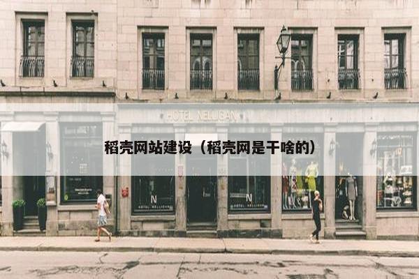 稻壳网站建设（稻壳网是干啥的）