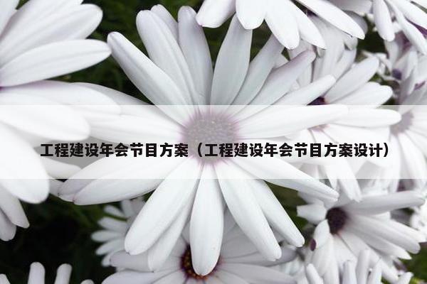 工程建设年会节目方案（工程建设年会节目方案设计）