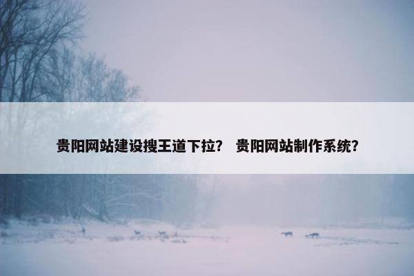 贵阳网站建设搜王道下拉？ 贵阳网站制作系统？