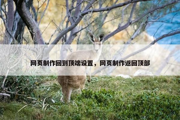 网页制作回到顶端设置，网页制作返回顶部